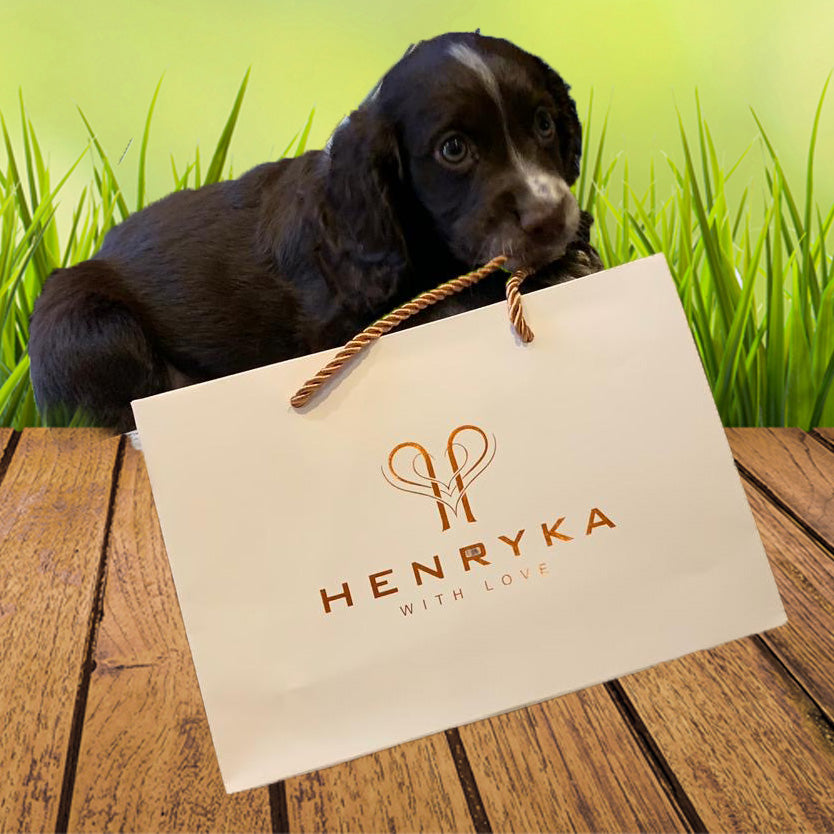 How & Why Dogs Became Man’s Best Friend | Henryka Jewellery