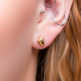 Miniature Acorn Stud Earrings in Silver with 24ct Gold