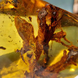 'Botanical Mess' 3D Baltic Amber and Silver Heart Necklace - Designer Gemstone