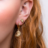 Ammonite Fossil Hoop Earrings in Sterling Silver with 24ct Gold