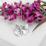 English Butterfly in Silver