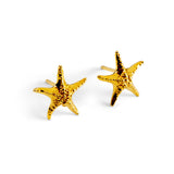 Starfish Stud Earrings in Silver