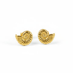 Miniature Ammonite Stud Earrings in Silver with 24ct Gold
