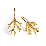 Coral Reef Hook Earrings in Sterling Silver