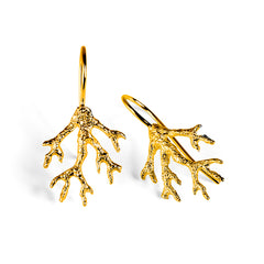 Coral Reef Hook Earrings in 24ct Gold