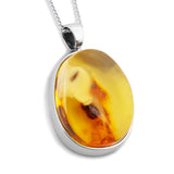 Nature’s Signature: Raw Baltic Amber with One-of-a-Kind Inclusions