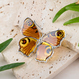 Statement Peacock Butterfly Brooch in Silver and Amber