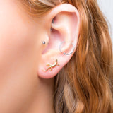 Lizard Stud Earrings in Silver with 24ct Gold