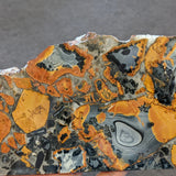 Rare Indonesian Maligano Jasper Necklace - Natural Designer Gemstone