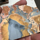 Picturesque Maligano Jasper Necklace - Natural Designer Gemstone