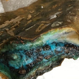 Frozen Mountain Night : Opalized Petrified Wood Necklace in Silver