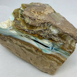 Indonesian Opalized Petrified Wood Necklace - Natural Designer Gemstone