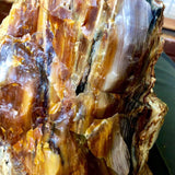 “Where the Mountains Meet the Sunset” Opalized Petrified Wood Necklace