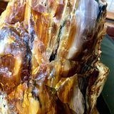 'Rocky Seashore' Opalized Petrified Wood Necklace - Natural Designer Gemstone