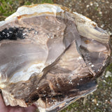 'Vesuvius Scenery' Opalized Petrified Wood Necklace - Natural Designer Gemstone