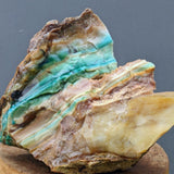 'Moonlight at the Shore' Opalized Petrified Wood Necklace - Natural Designer Gemstone