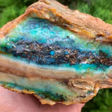 Scenic Opalized Petrified Wood Necklace - Natural Designer Gemstone