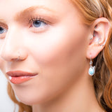 Leaf Motif Hook Earrings in Silver and Larimar