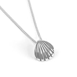 Sea Shell / Seashell Necklace in Silver