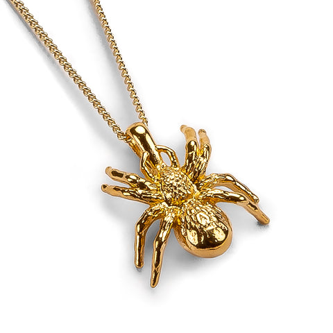 Tarantula Spider Necklace in Silver with 24ct Gold