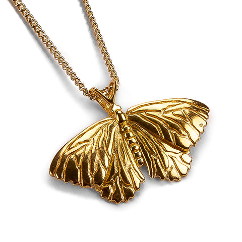 Moth Necklace in Silver with 24ct Gold