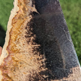 'Sand Storm' Petrified Palm Root Necklace - Natural Designer Gemstone