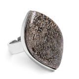 Rare Fossilised Dinosaur Bone Ring - Natural Designer Gemstone