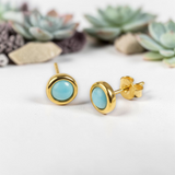 Small Round Stud Earrings in Silver with 24ct Gold & Larimar