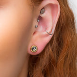 Small Round Stud Earrings in Silver with 24ct Gold & Dalmatian Jasper