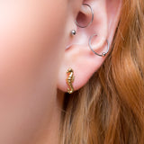 Miniature Seahorse Stud Earrings in Silver with 24ct Gold