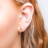 Sea Shell / Seashell Stud Earrings in Silver with 24ct Gold