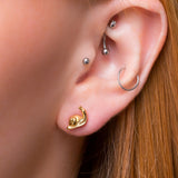 Sweet Snail Stud Earrings in Silver with 24ct Gold