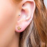 Spider Stud Earrings in Silver with 24ct Gold