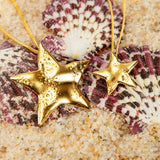 Statement Dazzling Star Necklace in Silver with 24ct Gold