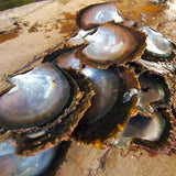 Perfect Tahitian Black Mother of Pearl Necklace - Natural Designer Gemstone