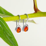 Classic Teardrop Hook Earrings in Silver and Cognac Amber