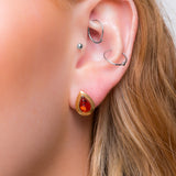 Classic Teardrop Stud Earrings in 24ct Gold Plated & Cognac Amber