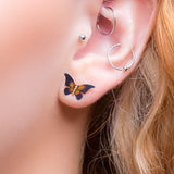 Butterfly Stud Earrings in Titanium & Sterling Silver with 24ct Gold