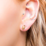 Tortoise / Turtle Stud Earrings in Silver with 24ct Gold