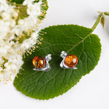 Snail in Shell Earrings in Silver and Amber