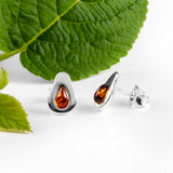Avocado Stud Earrings in Silver and Cognac Amber