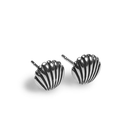 Seashell / Sea Shell Stud Earrings in Silver