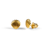 Seashell / Sea Shell Stud Earrings in Silver with 24ct Gold