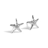 Starfish Stud Earrings in Silver
