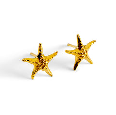 Starfish Stud Earrings in Silver with 24ct Gold