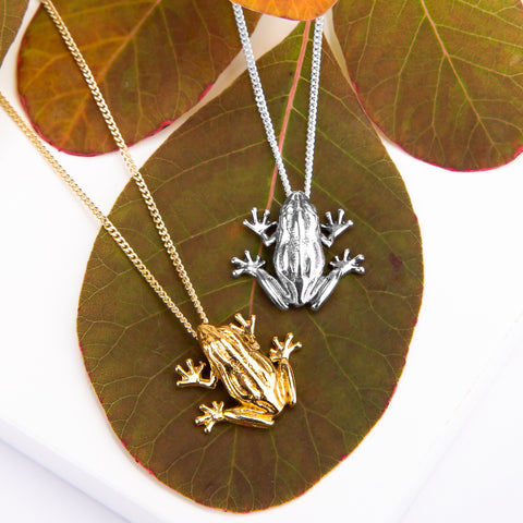Cute Frog Necklace in Silver with 24ct Gold