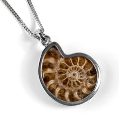 Ammonite Fossil Necklace from Madagascar - Natural Designer Gemstone