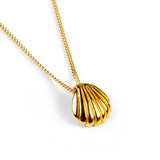 Sea Shell / Seashell Necklace in Silver with 24ct Gold