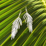 Large Areca Palm Leaf Drop Earrings in Silver