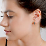 Parrot Stud Earrings in Silver and Turquoise